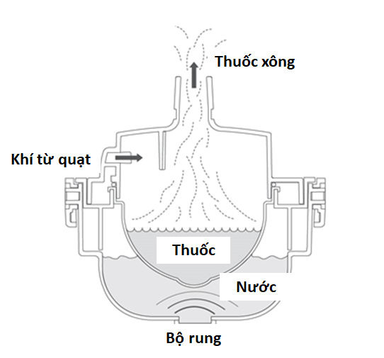 Cơ chế hoạt động của máy xông khí dung siêu âm (1)